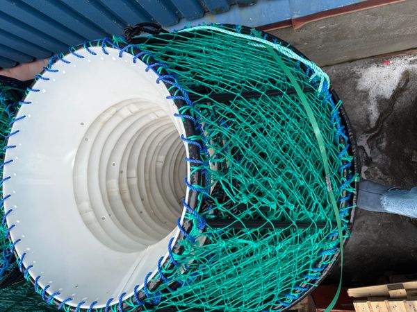 Hovedbilde Kongekrabbeteine 145x80x70 cm, 45 kg