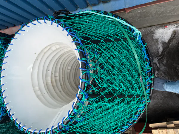 Hovedbilde Kongekrabbeteine 145x80x70 cm, 45 kg